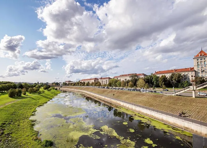 Daire Karaliaus Kaunas